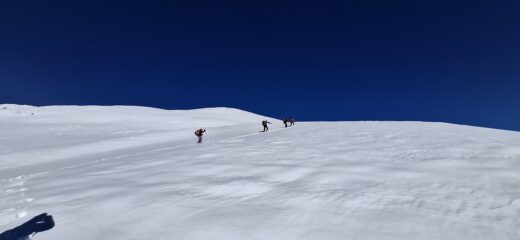 Parte alta
