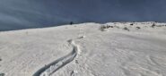 Neve recente poco profonda quindi ottimamente sciabile