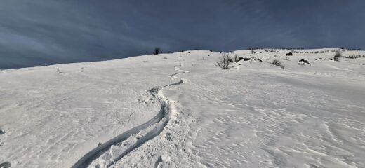 Neve recente poco profonda quindi ottimamente sciabile