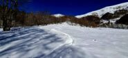 La farina più bella nei protoni finali