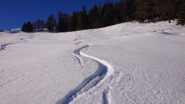 Qui neve 5 stelle, pratoni vicino al bosco
