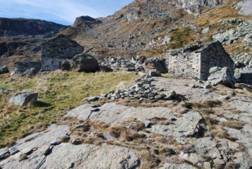 Alle Alpi di Cima Bracca