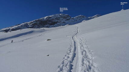 Neve su traccia perfetta.