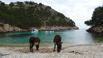 Cala Muerta.