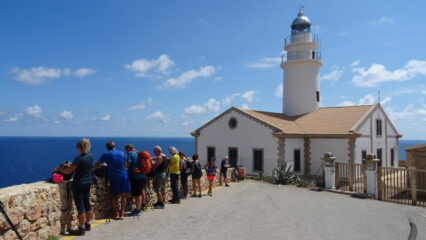 Ricompattaggio gruppo al faro.