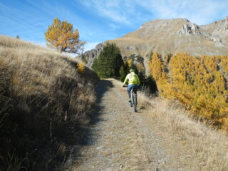 parte alta della salita