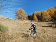 il tratto sostenuto della discesa verso Sant'Anna Chialdoletta