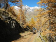 l'ingresso nel Vallone del Rio Rocciamelone