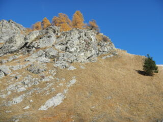 sul percorso una serie di piccoli capolavori della Natura