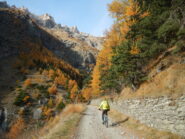 i colori autunnali aumentano la bellezza di questo percorso