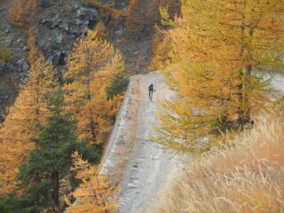 in veloce discesa sullo sterrato di salita