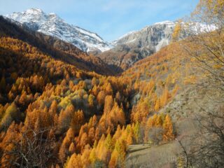 i colori nel Vallone di Fenils 