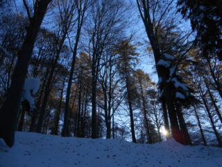 Mattina serena