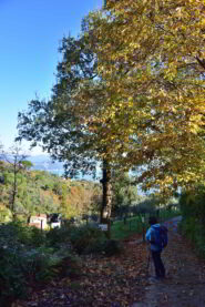 Bivio per la Valle dei Mulini