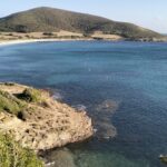 oplus_2