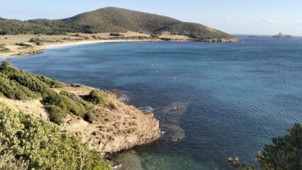 oplus_2