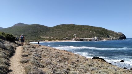 oplus_2
