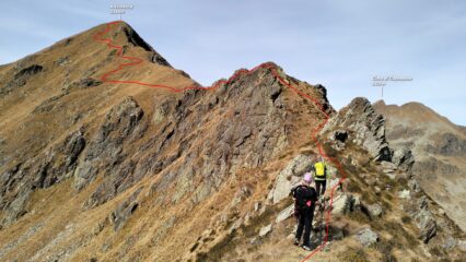  Il tratto di cresta percorso che porta alla selleta sotto l'Altemberg , senza aggirarlo.