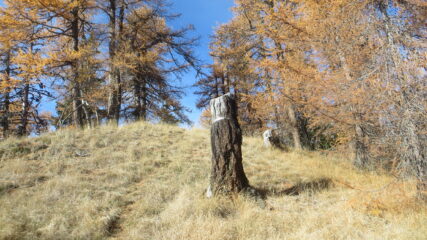 Mont Seuc