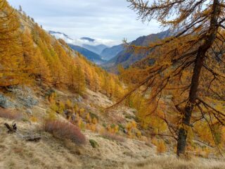 Scendendo il bel vallone del Cerogne
