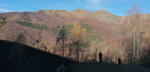 Verso l'alpe scheggiola