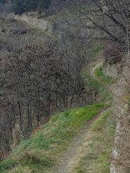 Sentiero per Montovert 