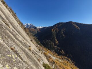 Corni Bruciati e placche di Cattoalcolisti