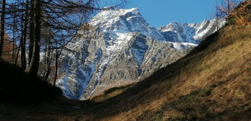 Cervandone scendedo da Crampiolo