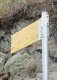 Paline alla partenza 