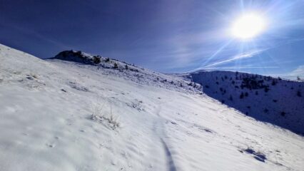 Uscendo dal bosco sotto la cima, sul sentiero per il colletto di Narbona. 