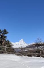 Oplus_131106