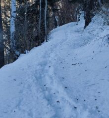 Oplus_131106