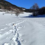I prati di Saint Nicolas 