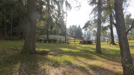 Bois de la Tour