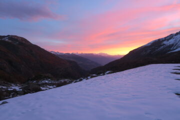 alba colorata dll'Orfeuille