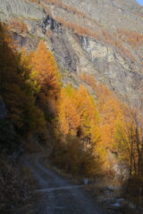 passeggiata fino a Planaval negli splendidi colori dell'autunno