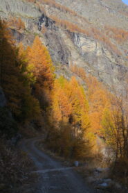 passeggiata fino a Planaval negli splendidi colori dell'autunno