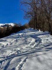 Parte bassa 