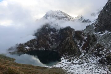 Dante Livio quasi bianco