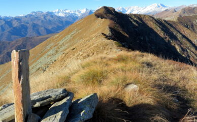 Verso il Vaccarezza