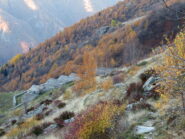 Sopra l'alpe Paglia inf.