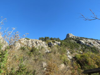 con il primo tratto si raggiunge la dorsale alberata in alto