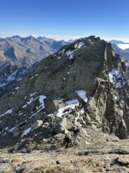 Inizio delle ultime placche 