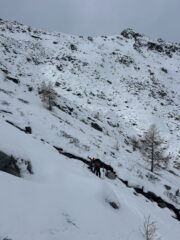 Qualche guado ci obbliga a togliere gli sci