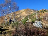 Sulla dorsale dopo la Bocchetta di Foglia.