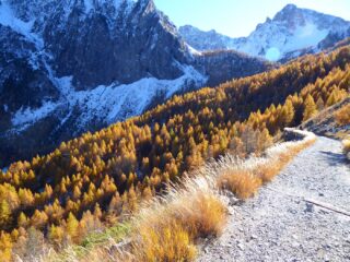 In discesa con lo spettacolo del foliage.