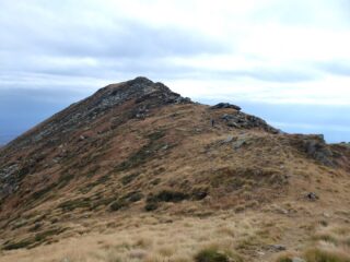 P.ta Frera dal colletto.