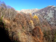 Ancora bei colori autunnali.