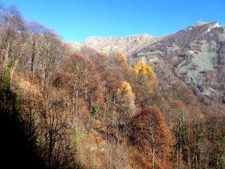 Ancora bei colori autunnali.