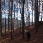 Scendendo verso l'Ambrosinera